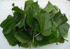 Những loại thực phẩm phụ nữ nên ăn hàng ngày ảnh 4 nhung loai thuc pham phu nu nen an hang ngay