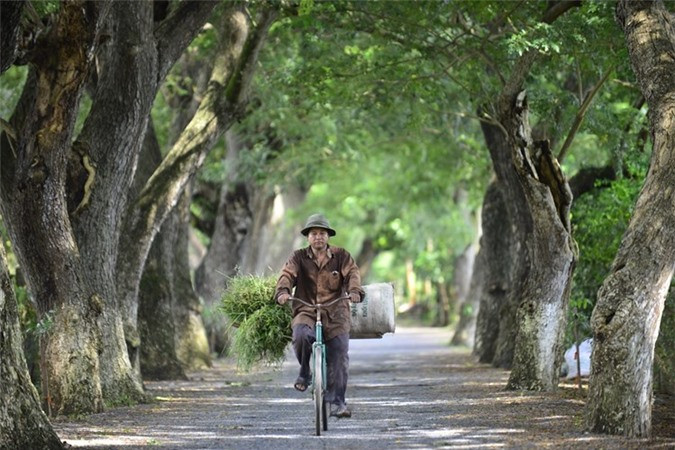 viet nam sieu doc la qua ong kinh cua nhiep anh gia nguoi anh