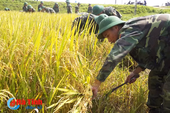 bo doi xuong dong giup dan thu hoach mua