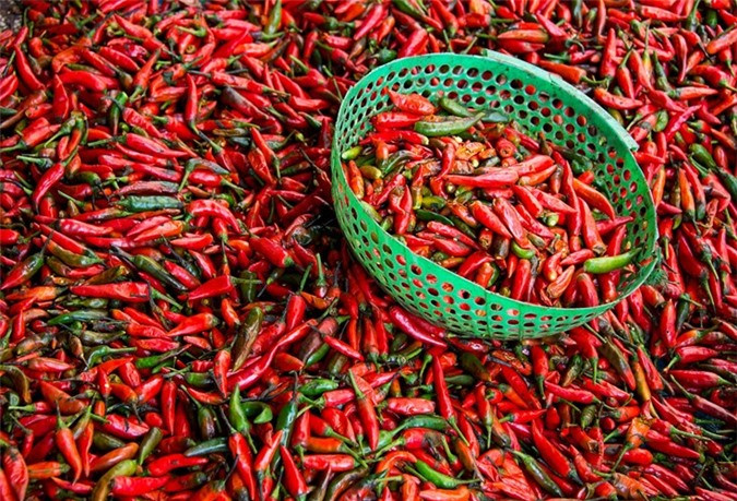 viet nam sieu doc la qua ong kinh cua nhiep anh gia nguoi anh