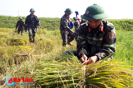 bo doi xuong dong giup dan thu hoach mua