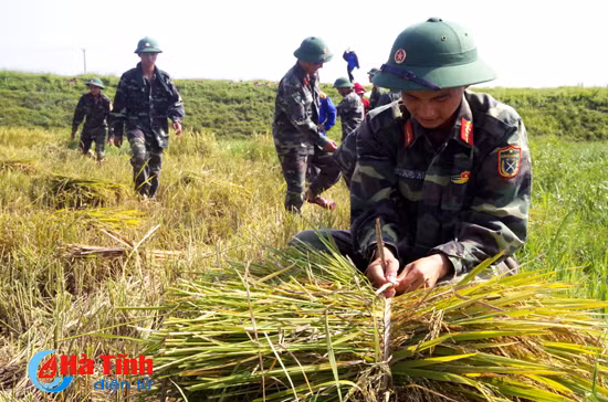 bo doi xuong dong giup dan thu hoach mua