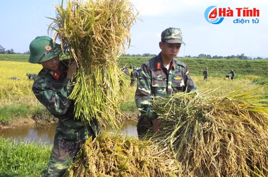 bo doi xuong dong giup dan thu hoach mua
