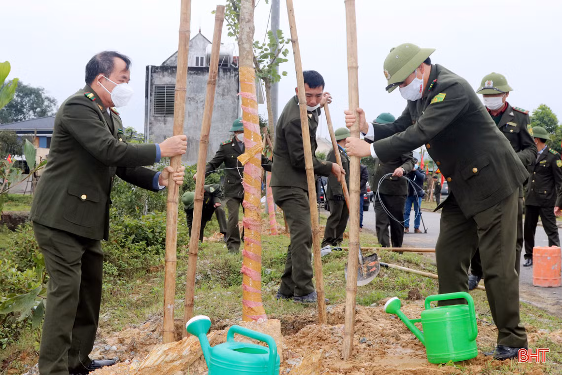 Chủ tịch UBND tỉnh Hà Tĩnh tham gia trồng cây tại các địa phương