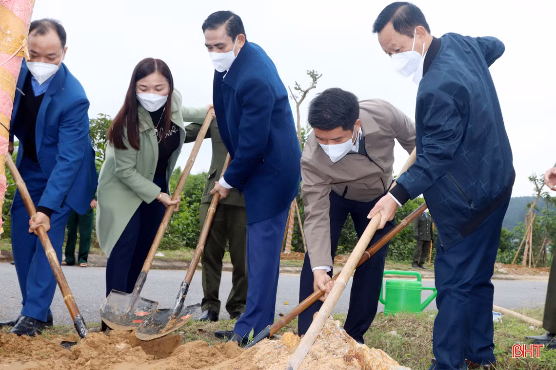 Chủ tịch UBND tỉnh Hà Tĩnh tham gia trồng cây tại các địa phương