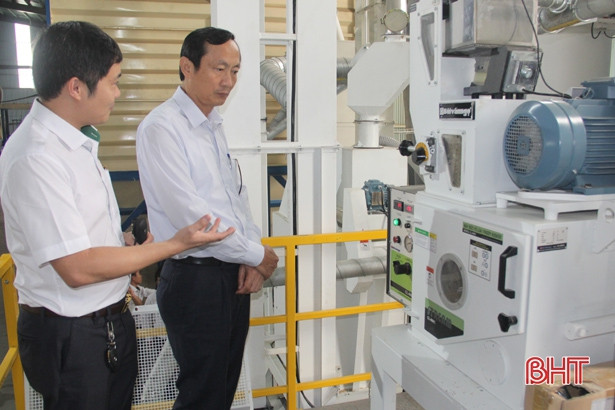 Nông dân Hà Tĩnh liên kết DN sản xuất gần 1.000 ha lúa trên cánh đồng lớn