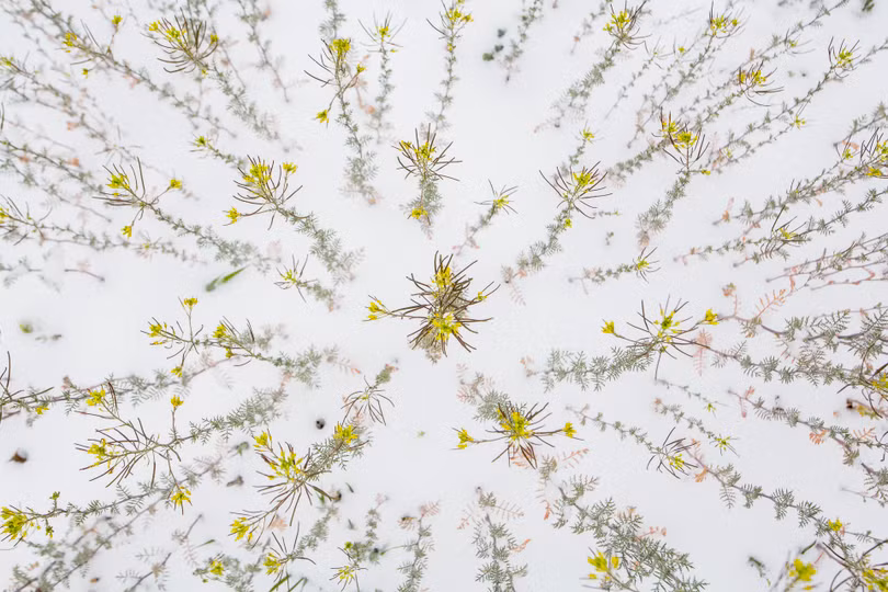 Ngắm ảnh thiên nhiên tuyệt đẹp đoạt giải của Nat Geo năm 2018