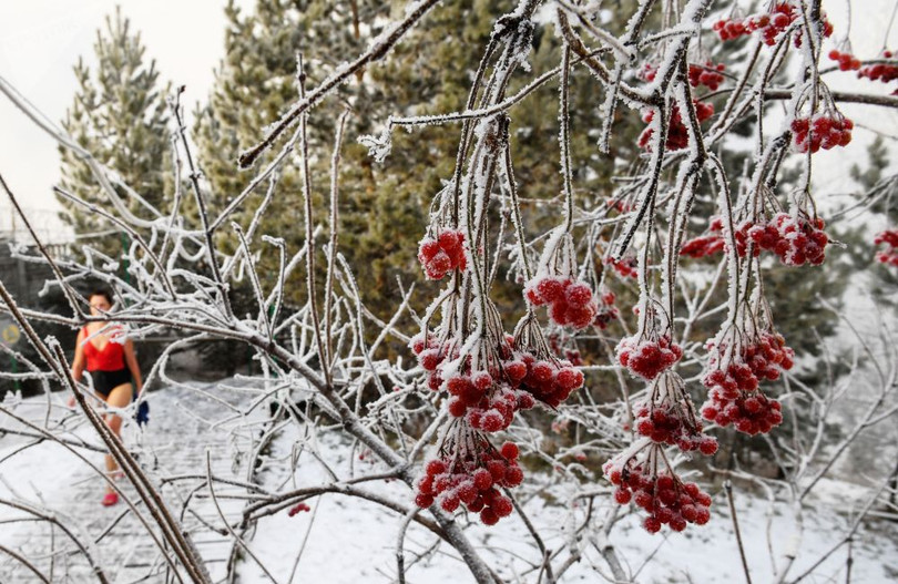 Lạnh âm độ, người dân Siberia vẫn kéo nhau đi bơi