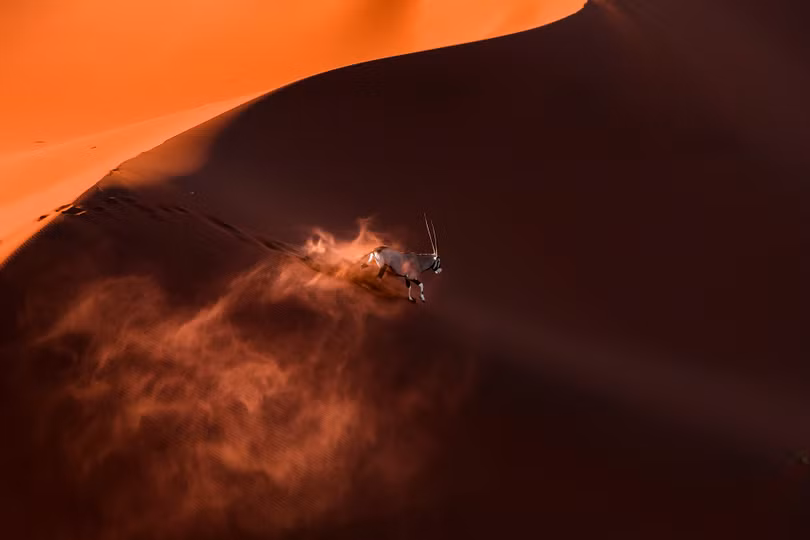 Ngắm ảnh thiên nhiên tuyệt đẹp đoạt giải của Nat Geo năm 2018