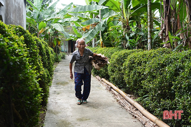 Ngõ quê thương nhớ...