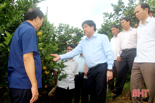 Thứ trưởng Bộ NN&PTNT khuyên người trồng cam Vũ Quang dùng phân bón hữu cơ