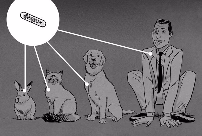 Cấy chip vào người sống - trào lưu đang nổi lên toàn cầu