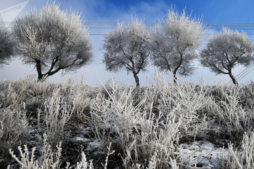 Lạnh âm độ, người dân Siberia vẫn kéo nhau đi bơi