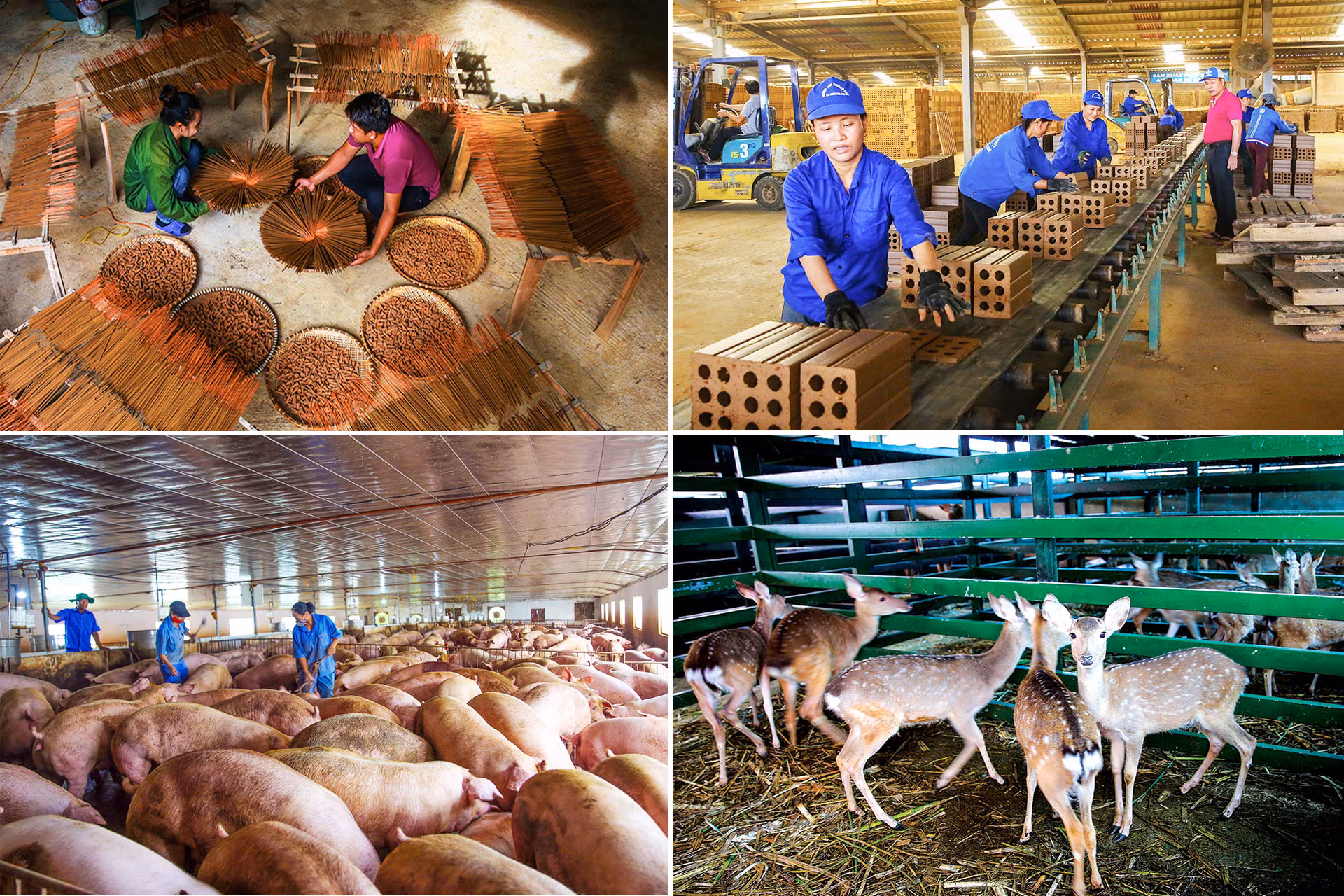 Xác định đột phá về nông nghiệp, Hương Khê quyết tâm đạt chuẩn huyện nông thôn mới