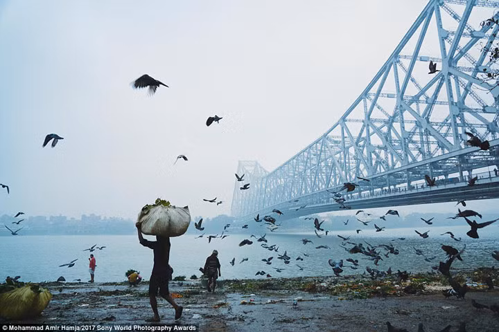 tram tro truoc nhung tac pham nghiep du doat giai 2017 sony awards