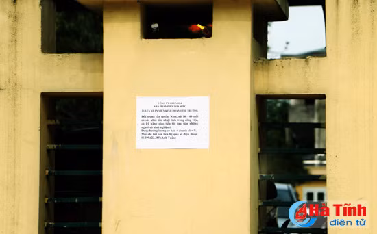 buc het cho noi voi muon kieu rao vat