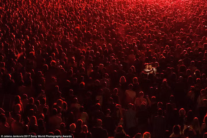 tram tro truoc nhung tac pham nghiep du doat giai 2017 sony awards