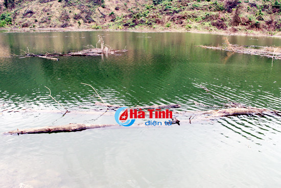 nuoc ho ngan truoi boc mui hoi thoi nguy co o nhiem nang