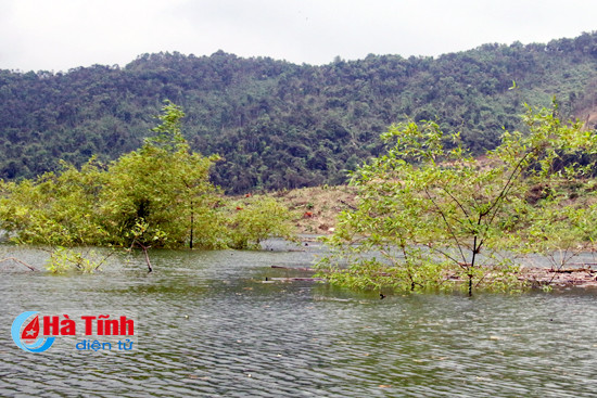 nuoc ho ngan truoi boc mui hoi thoi nguy co o nhiem nang