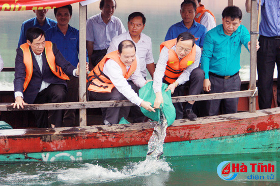 tha 800 kg ca giong tai tao va phat trien nguon loi thuy san