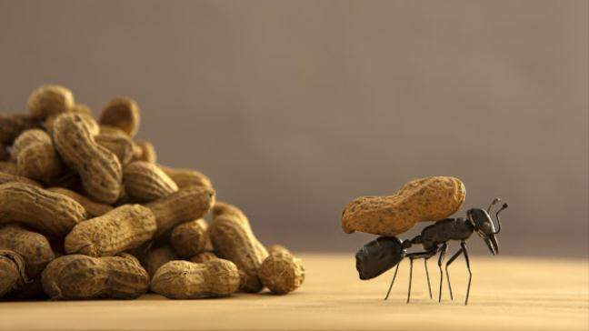 10 bi quyet de co noi tam manh me song cuoc doi hanh phuc