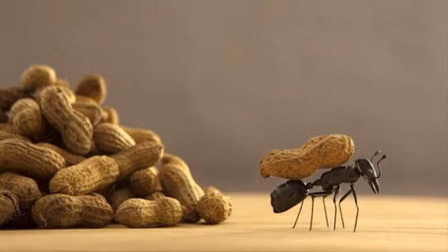 10 bi quyet de co noi tam manh me song cuoc doi hanh phuc