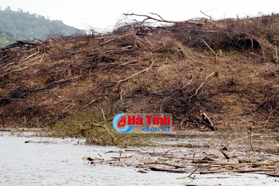 nuoc ho ngan truoi boc mui hoi thoi nguy co o nhiem nang