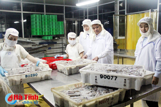 thuy san nam ha tinh khoi phuc san xuat sau su co moi truong