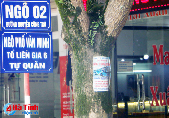 buc het cho noi voi muon kieu rao vat