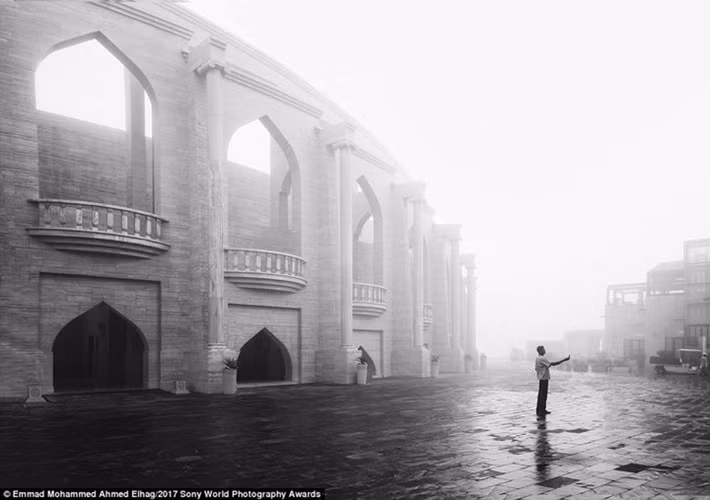 tram tro truoc nhung tac pham nghiep du doat giai 2017 sony awards