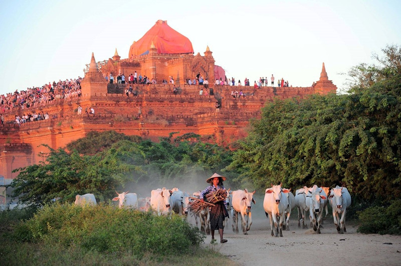 bagan thien duong cua mat troi