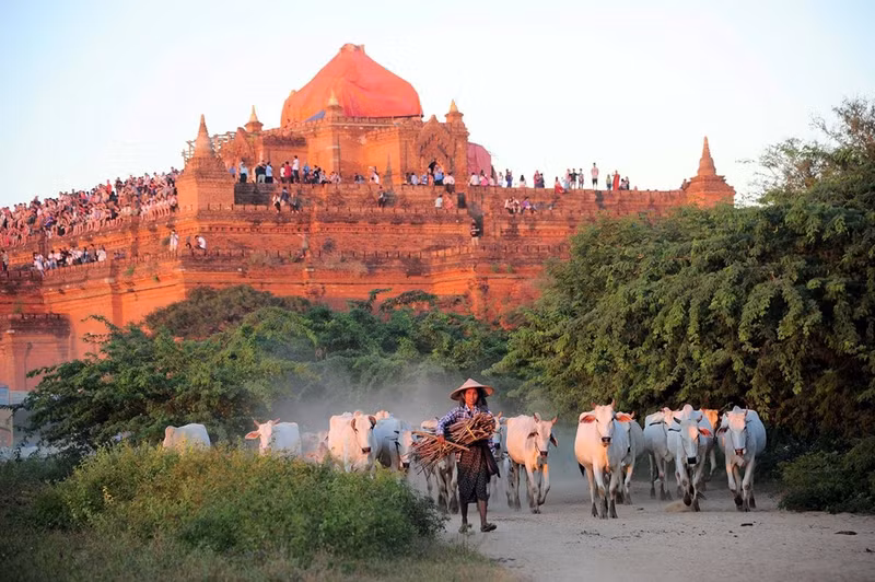 bagan thien duong cua mat troi