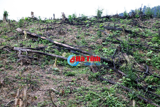 nuoc ho ngan truoi boc mui hoi thoi nguy co o nhiem nang