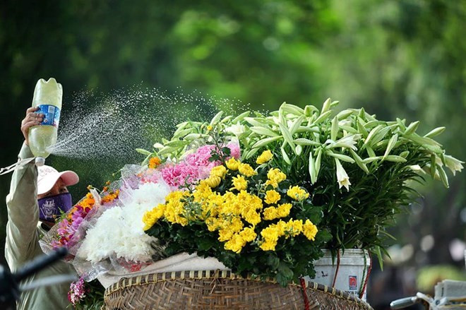 Miền Bắc có thể đón 2 đến 3 đợt không khí lạnh trong tháng Tư ảnh 1 mien bac co the don 2 den 3 dot khong khi lanh trong thang tu