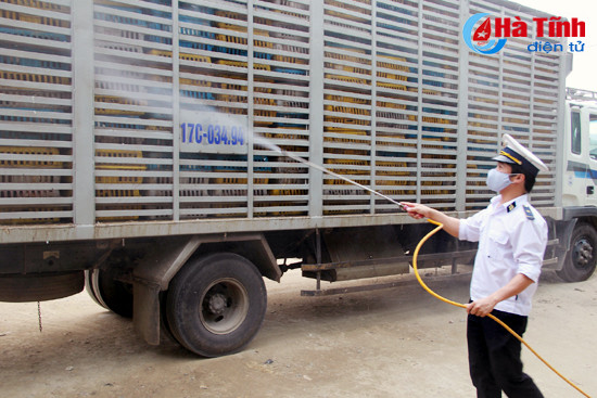 thu tuong chinh phu chi dao tap trung phong chong cum gia cam