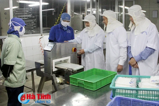 thuy san nam ha tinh khoi phuc san xuat sau su co moi truong