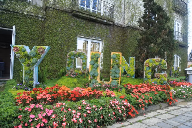 dam say sac hoa ba na hills