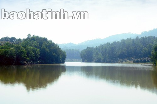 Rừng Bãi Sậy (Sơn Trường - Hương Sơn). Ảnh: Đ.B.