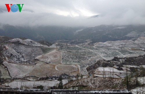 Tuyết rơi ở khu vực Ô Quý Hồ