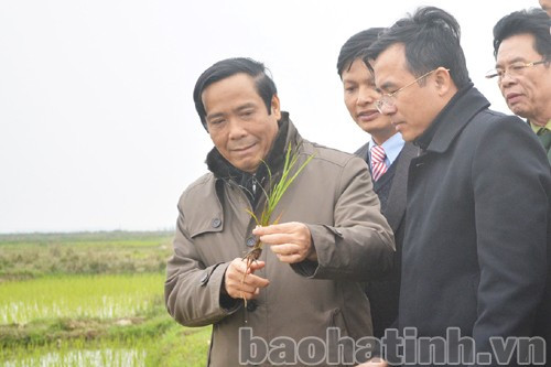 Bí thư Tỉnh ủy Nguyễn Thanh Bình kiểm tra tình hình sản xuất vụ xuân ở Hồng Lĩnh...