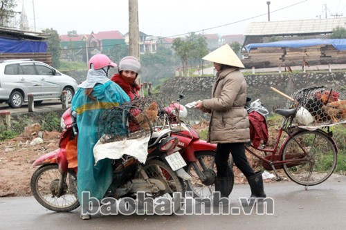 Gà được bán ngay tại góc đường 26/3 cầu Sở Rượu (TP Hà Tĩnh) Gà được bán ngay tại góc đường 26/3 cầu Sở Rượu (TP Hà Tĩnh)