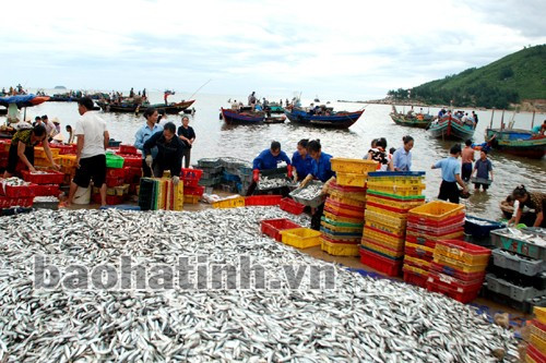 Bình minh trên chợ cá Cồn Gò - Cẩm Nhượng. Ảnh: Hương Thành
