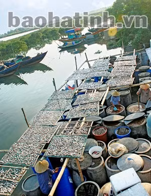 Quà của biển. Ảnh: Hương Thành