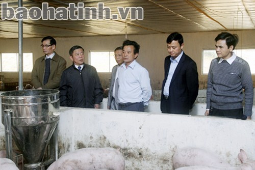 Chủ tịch UBND tỉnh Võ Kim Cự và đoàn kiểm tra mô hình chăn nuôi lợn liên kết với Công ty CP Việt Nam của hộ ông Phan Anh Đào ở thôn 4, xã Phúc Đồng, huyện Hương Khê