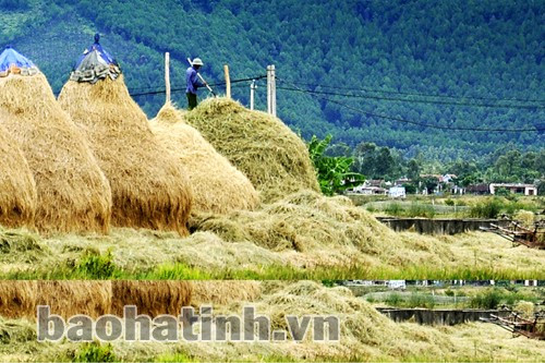 Ngày mùa Ảnh: Đậu Bình