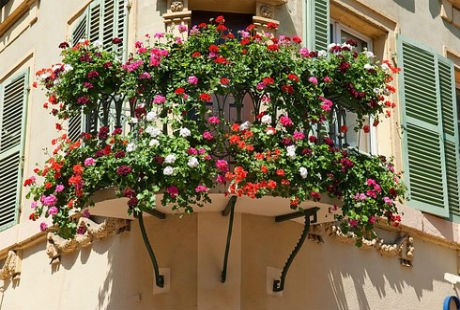 19 “thiên đường” không nên bỏ lỡ ảnh 8