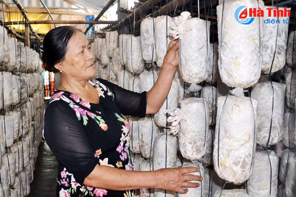 thi truong thuc pham huu co o ha tinh that gia lan lon