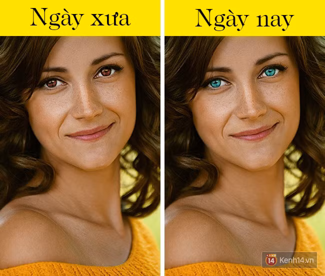 7 bang chung cho thay con nguoi van dang tien hoa tung ngay