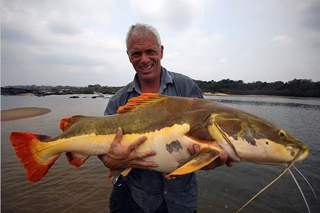 rung minh voi nhung loai thuy quai an thit nguoi