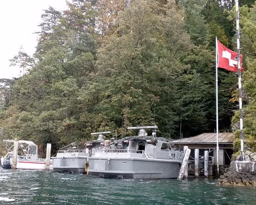 quan doi thuy si 500 nam khong he biet chien tranh la gi